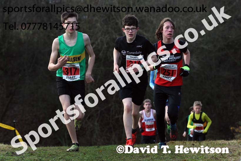 Boys under-15s North Eastern Cross Country, Aykley Heads, Durham. Photo: David T. Hewitson/Sports for All Pics